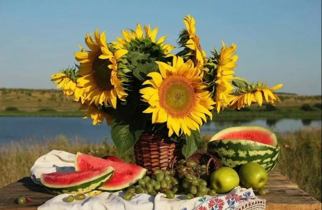 Добрая среда! ☀️