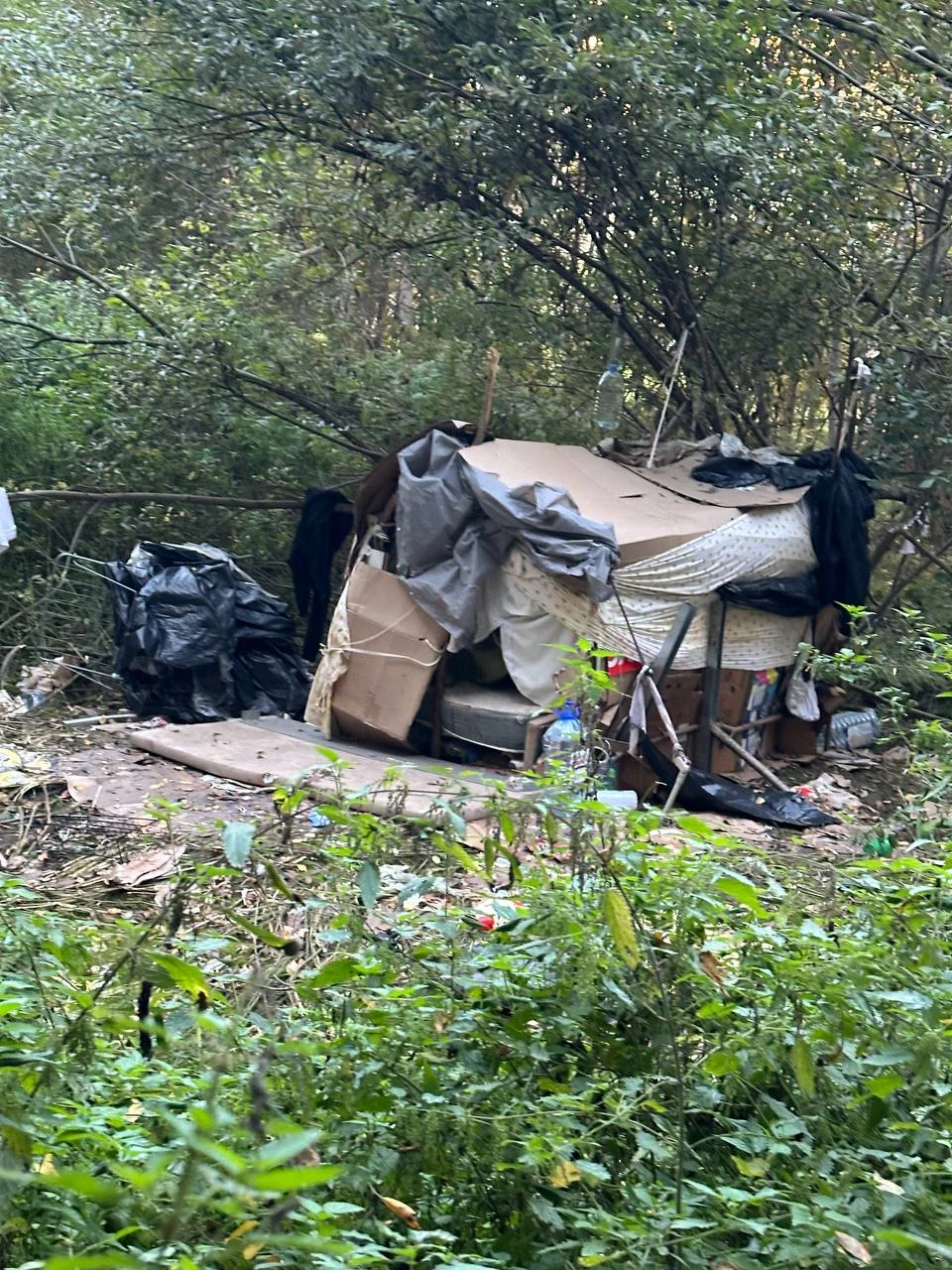 🏚 Вот такой домик обнаружен в Саларьево; возможно, там живут бездомные, по тем или ины...