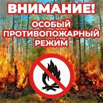 О введении особого противопожарного режима на территории муниципальных образований Кост...