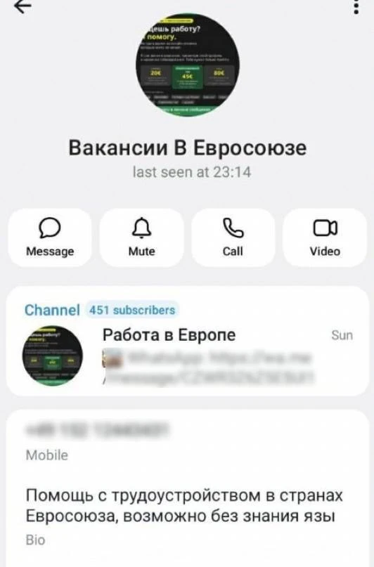 Россиян всё чаще скамят под предлогом трудоустройства за границей