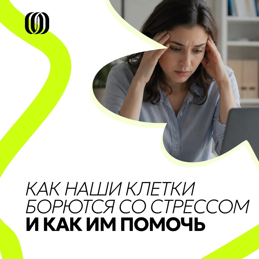 Если бы у клеток был чат, они бы точно писали что-то вроде: «можно хоть каплю спокойствия?» 🥲

А вс