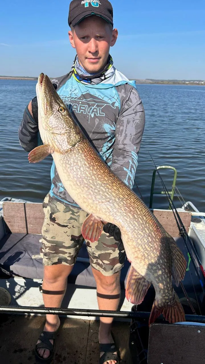 Вчера выбрался на Каму на пару часиков 🎣 - решил половить щуку. Вода остывает 🌊, и хи...