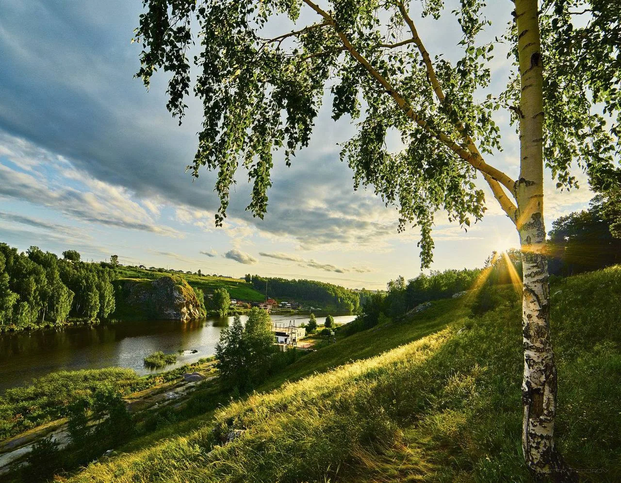 Мои дорогие кошечки! 🐾
Сегодня в России праздник, и я от всей души всех поздравляю!  И всем нам, в 