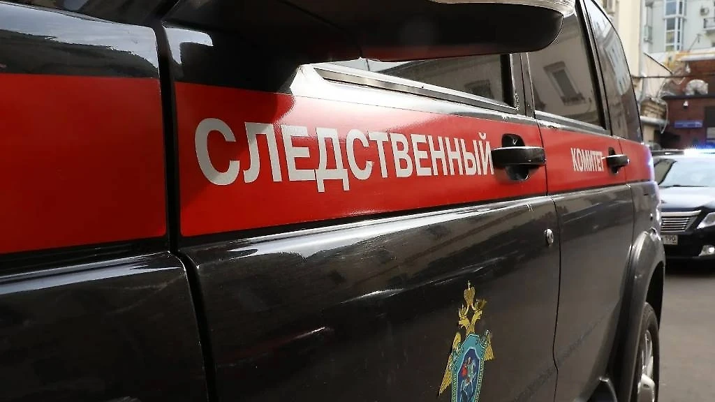 ТРЕШ-БЛОГЕР ИСТЯЗАЛ ДЕТЕЙ | В ПОДМОСКОВЬЕ ВОЗБУДИЛИ ДЕЛО В ОТНОШЕНИИ БЛОГЕРА
