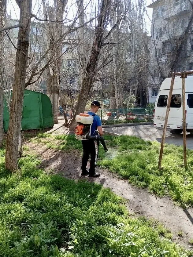 К новости «✨ Новый дом — новый порядок!»