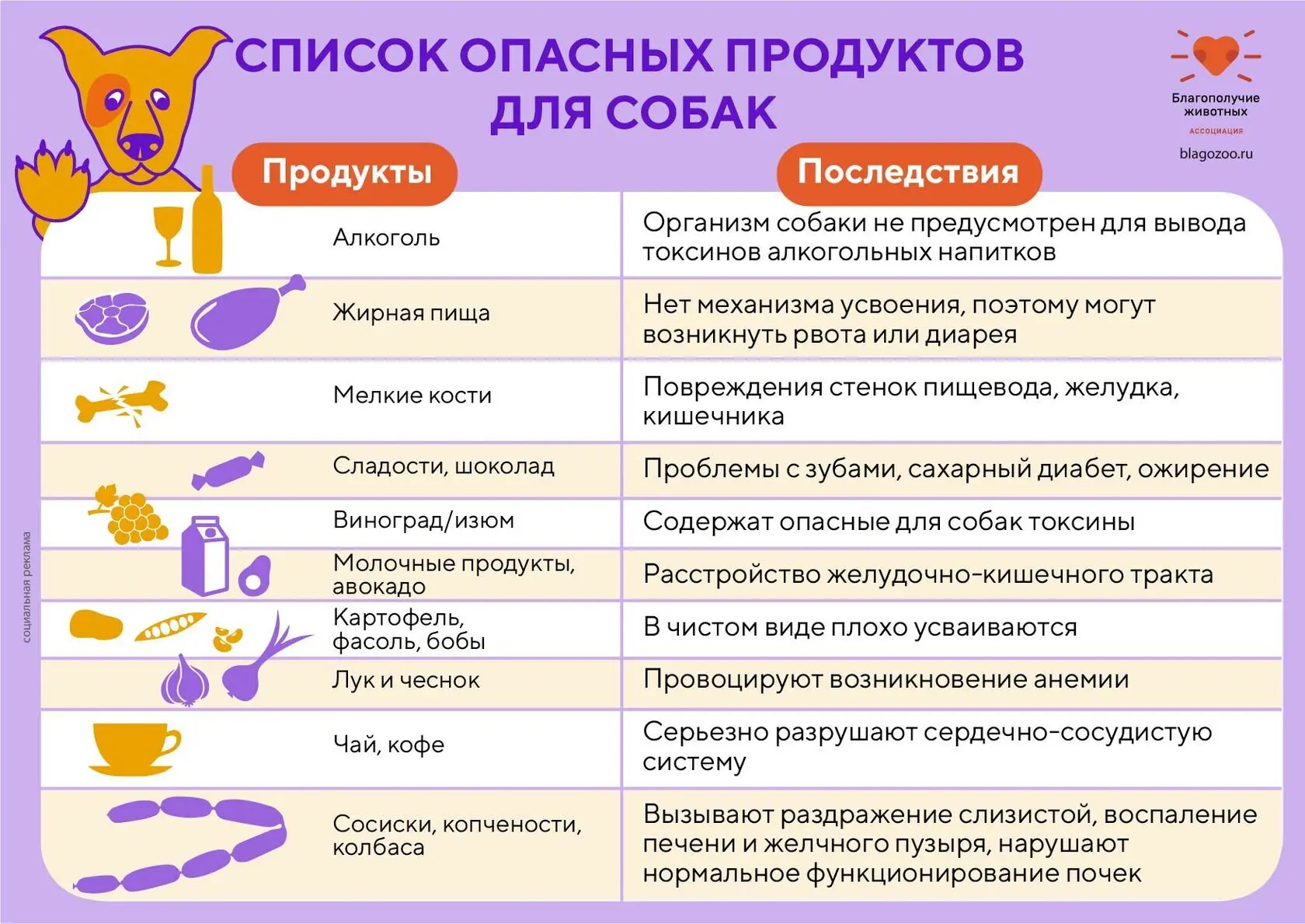 Список продуктов, которые НИКОГДА нельзя давать вашему питомцу! 🐶