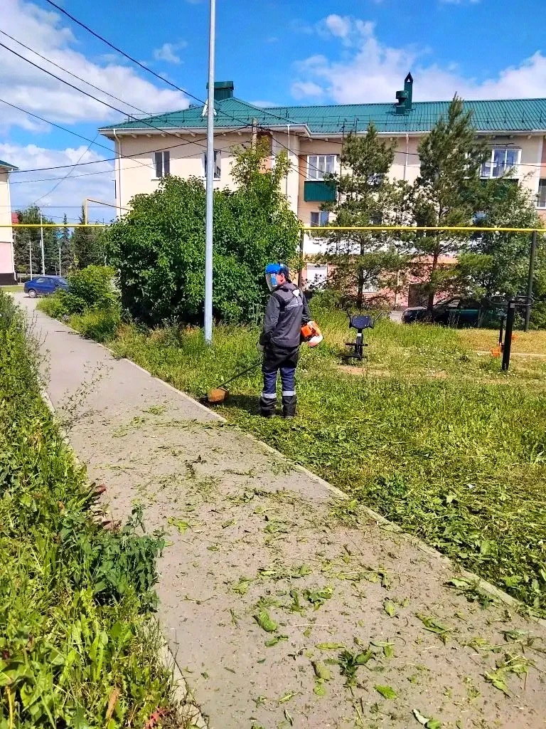 📢 ПОКОС 15.06.2026: ГРАФИК РАБОТ ПО ДВОРАМ

Уважаемые жители! Сегодня в течение дня приводят в поря