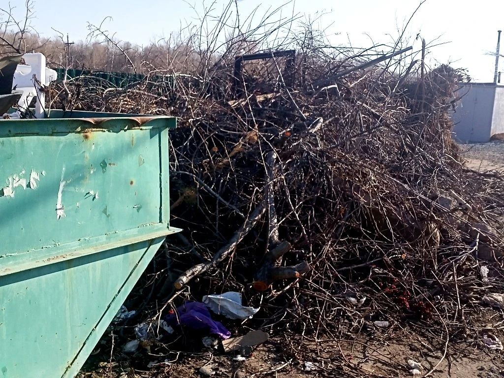 ⚠️ Растительные отходы запрещено складировать на площадках ТКО!