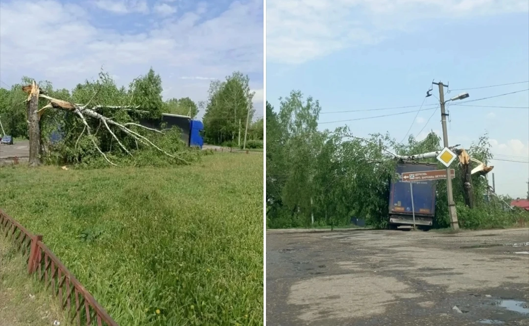 😱😱😱 Под Костромой гроза повалила дерево прямо на фуру   Подробнее здесь  https://k1news.ru/news/inci