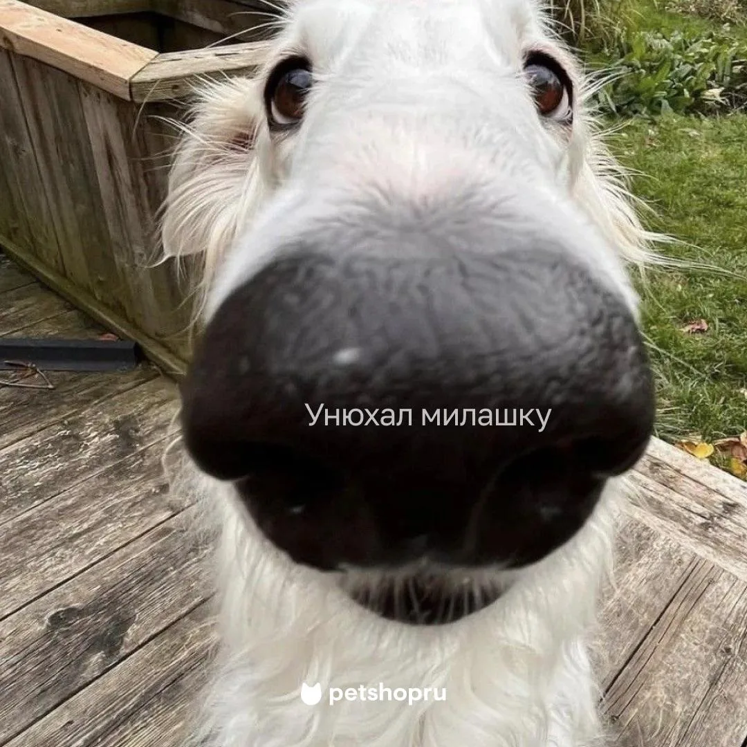 Отправьте тому самому милашке 🫵🥰