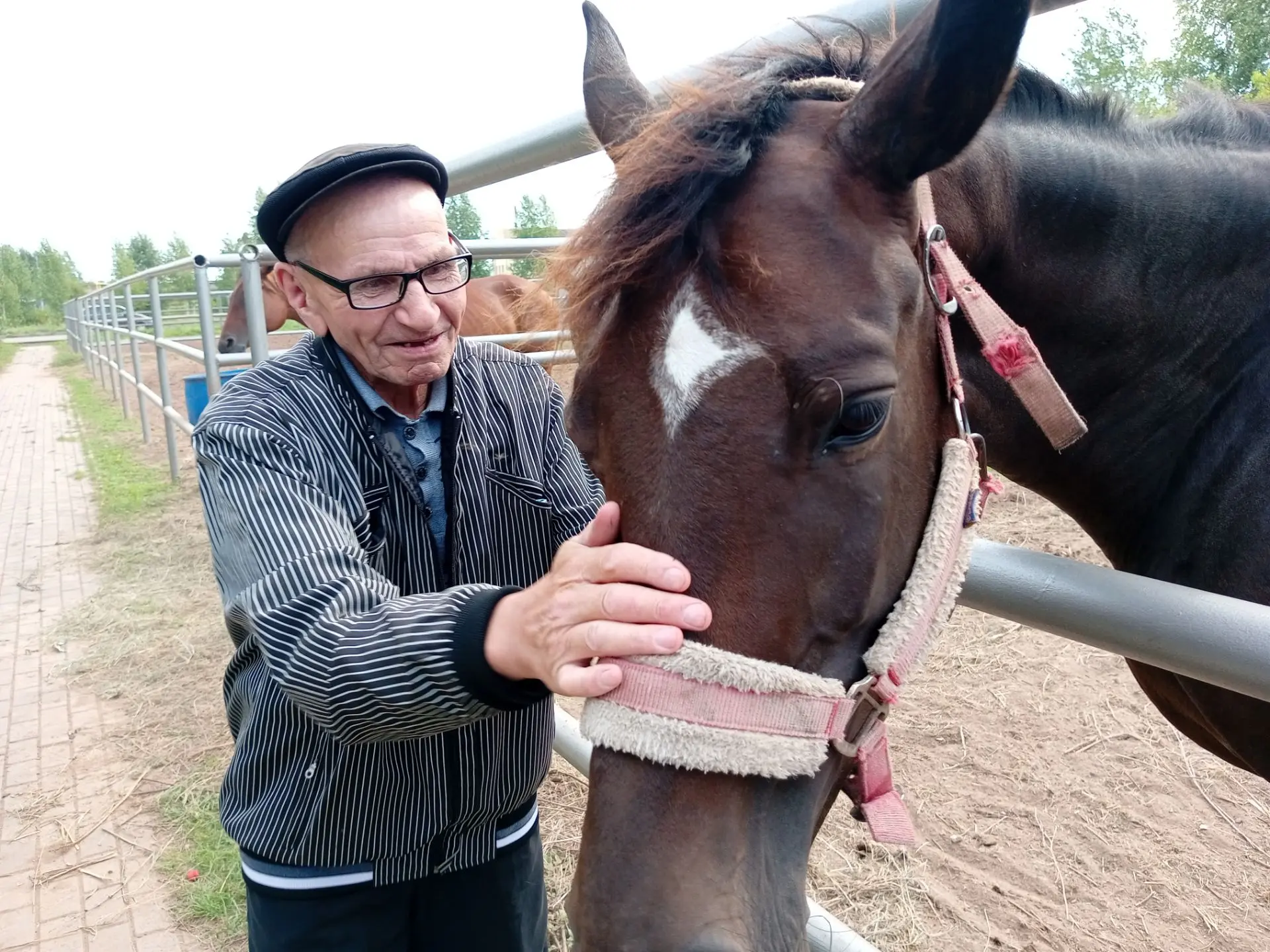 ✨🐴Анималотерапия.