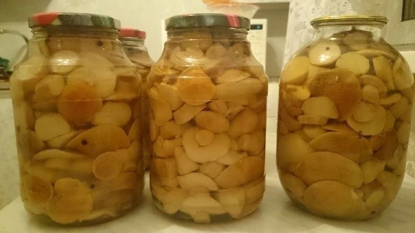 Маринуем белые грибы