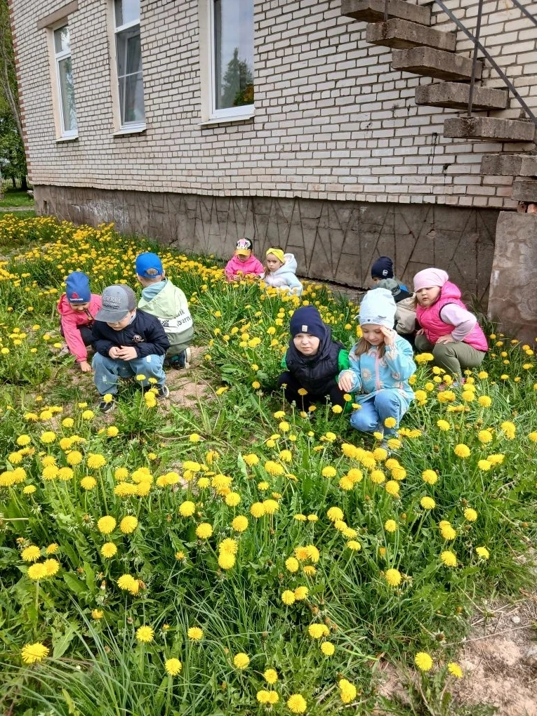 В средней группе, в рамках тематической недели " Первоцветы " дети узнали о первых весе...