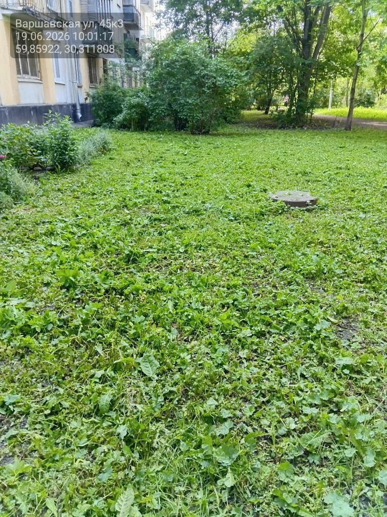 Покос травы на газонах многоквартирного дома по адресу: Варшавская улица, д. 45, к. 3