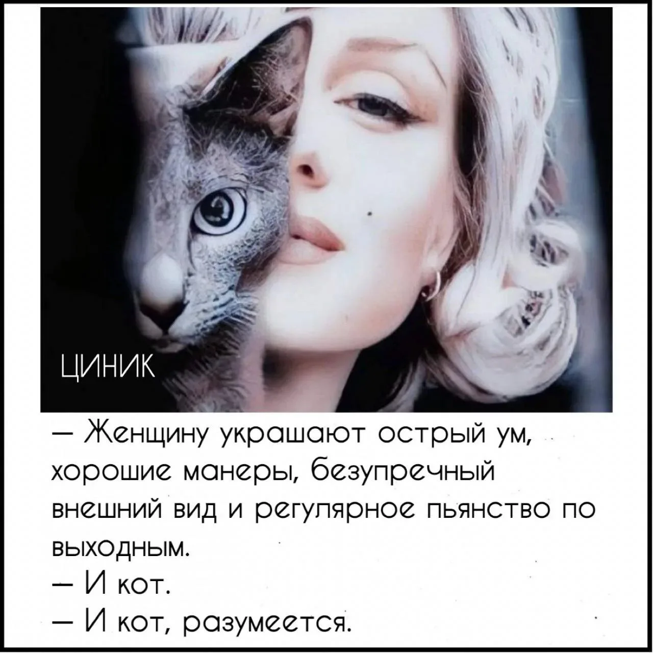 Циник