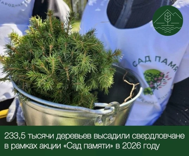 🌲 Более 233 тысяч деревьев высадили на Урале в память о героях войны

В Свердловской области заверш