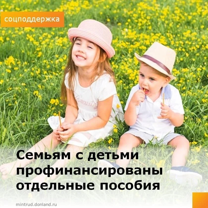 ‼️ 5 августа в муниципальные образования направлены средства для выплаты следующих соци...