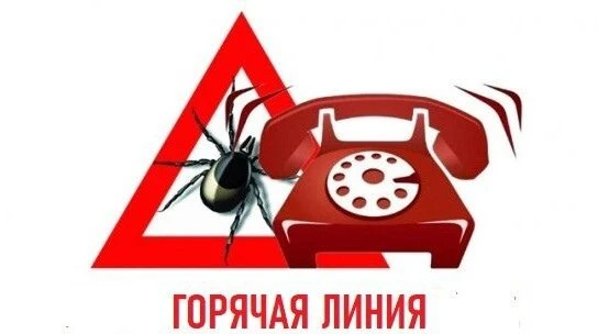 Информируем Вас о том, что в период с 27 апреля по 10 мая 2026 года в Управлении Роспот...