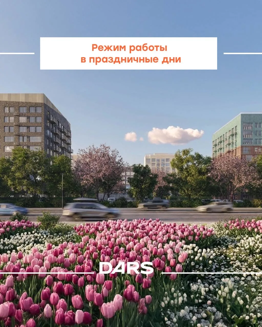 Информируем о небольших изменениях в режиме работы офиса DARS 🤍🌷
