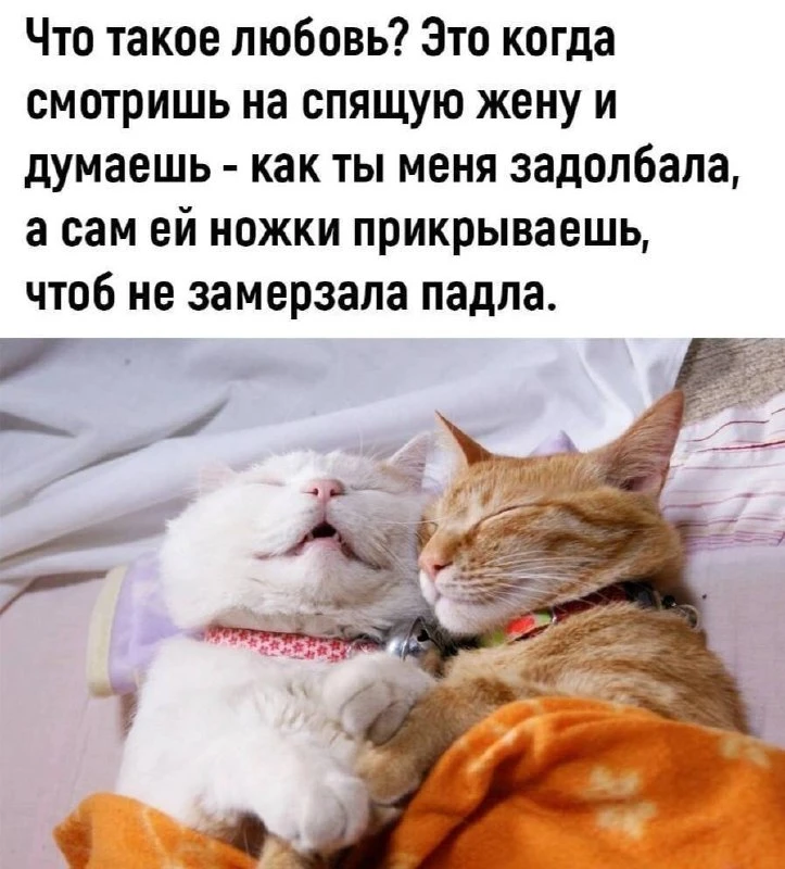 Настоящая любовь 😅
