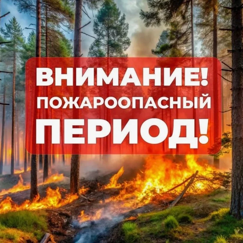 По состоянию на 24 июля 2026 года на территории Республики Башкортостан произошло 3708 пожаров (АППГ