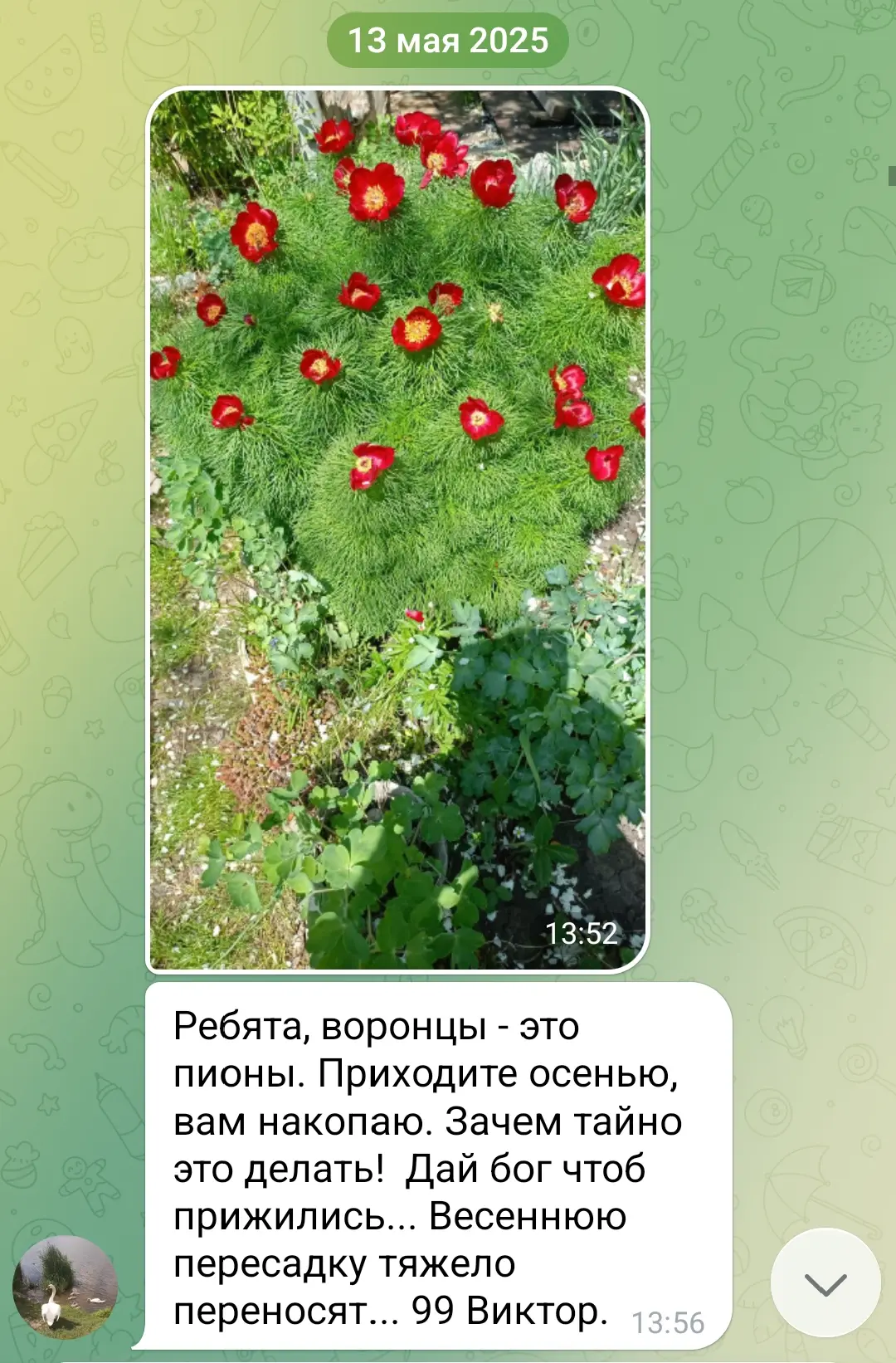 Спасибо Оксане за сигнализирование о таком вопиющем случае. Ранее в нашем телеграм-кана...