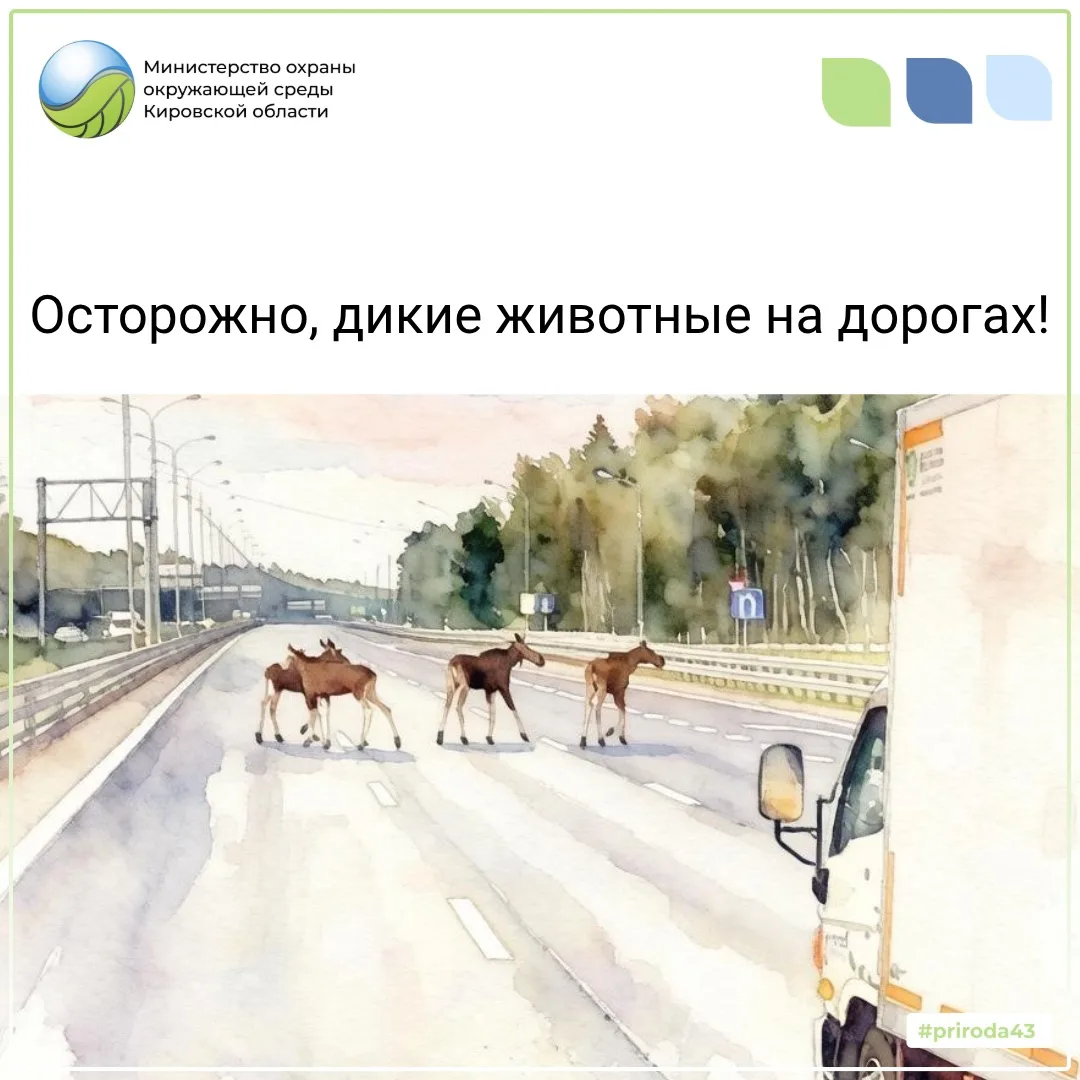 В июне на дорогах области зафиксировано 21 дорожно-транспортное происшествие, из них 20...