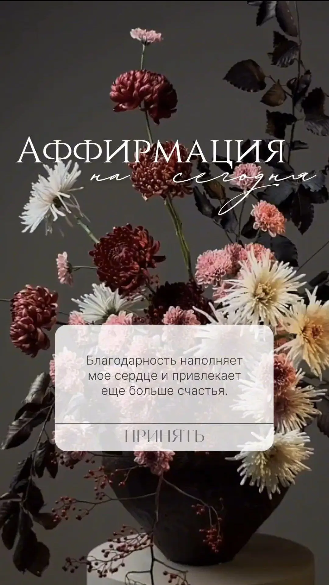 Аффирмация сегодняшнего дня ✨

Мой главный Гороскоп: подписаться ✨
