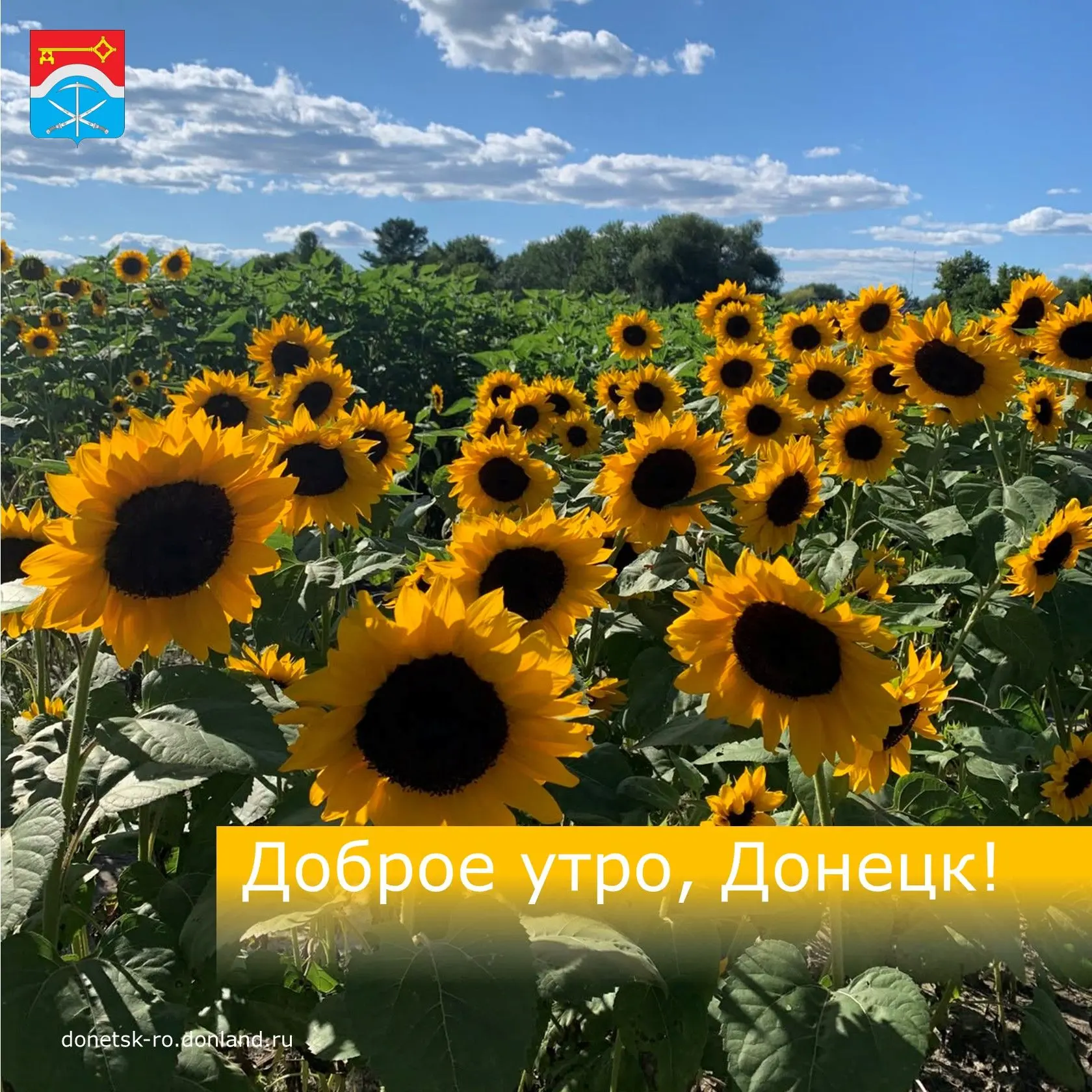 Доброе утро, дончане!
