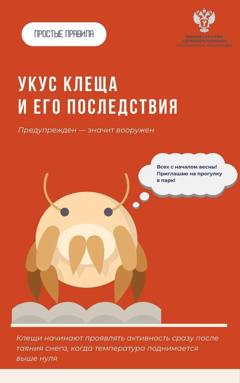 🌳 Июль — время пикников, походов и долгих прогулок… но не только.

Пока вы наслаждаетесь летом, кое