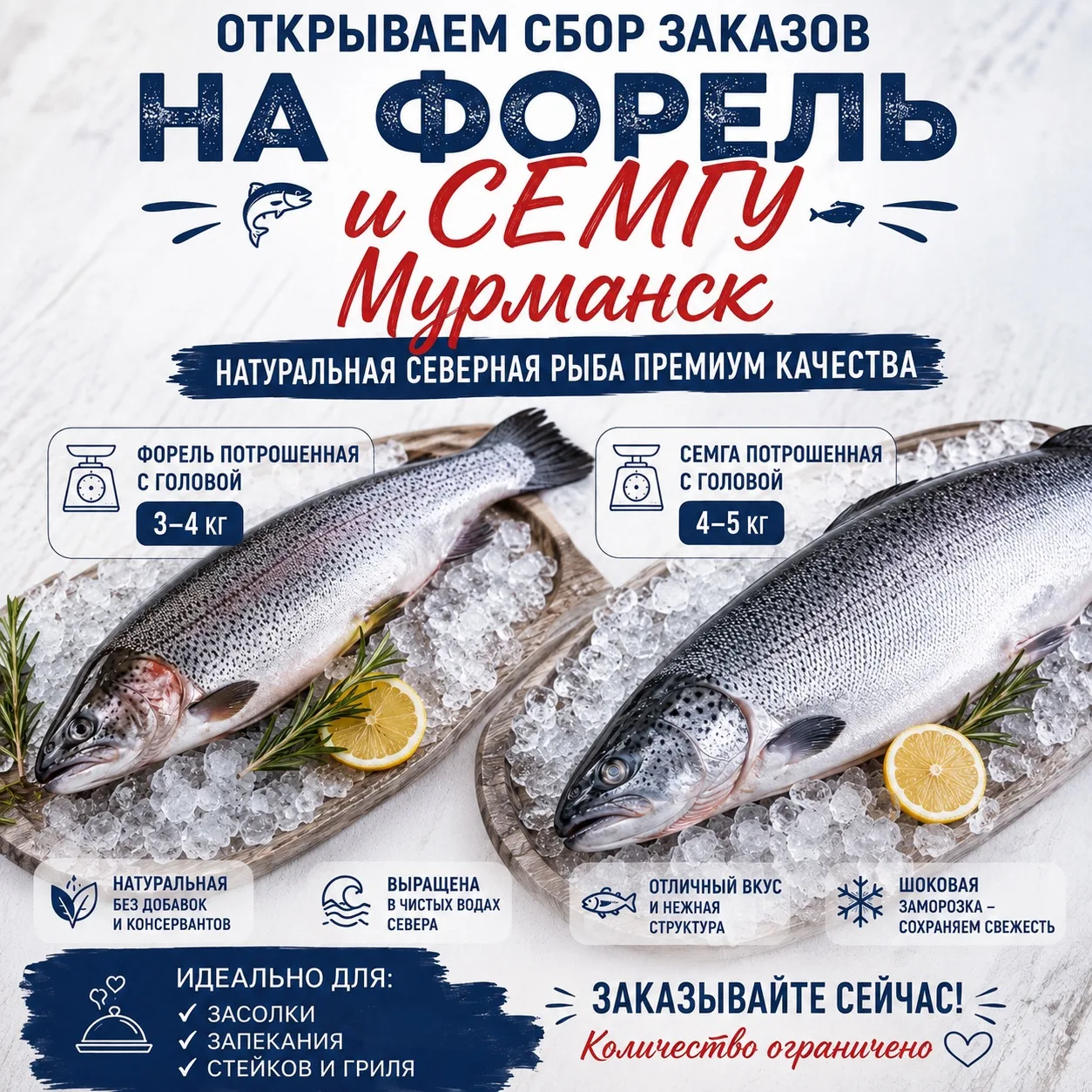 Получили форель и семгу Мурманск 

• Форель потрошенная с головой охлажденная 
Размер: 3–4 кг
1850₽/