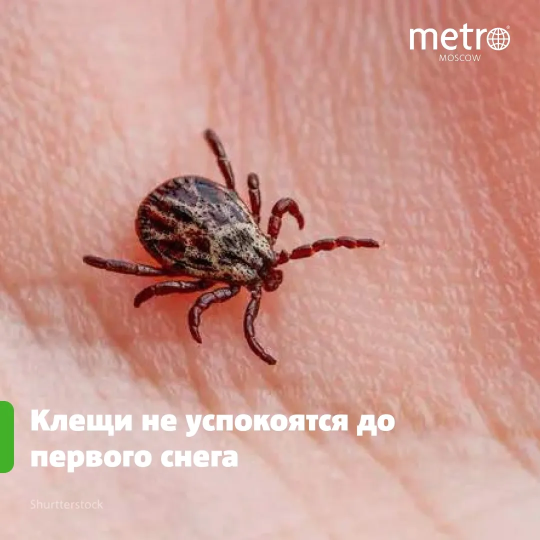 У паразитов открылось второе дыхание 😬