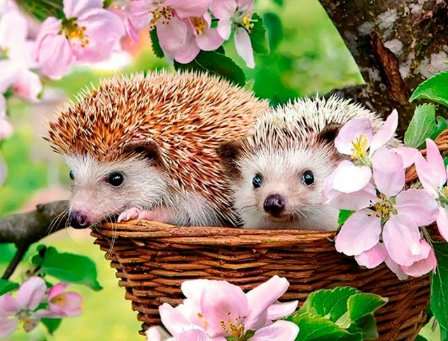 Мәхәбәттә сүз кирәкми.

Мәхәббәттә сүз кирәкми,
Нигә соң артык сүзләр?!
Бер- берсен сөйгән парларга
