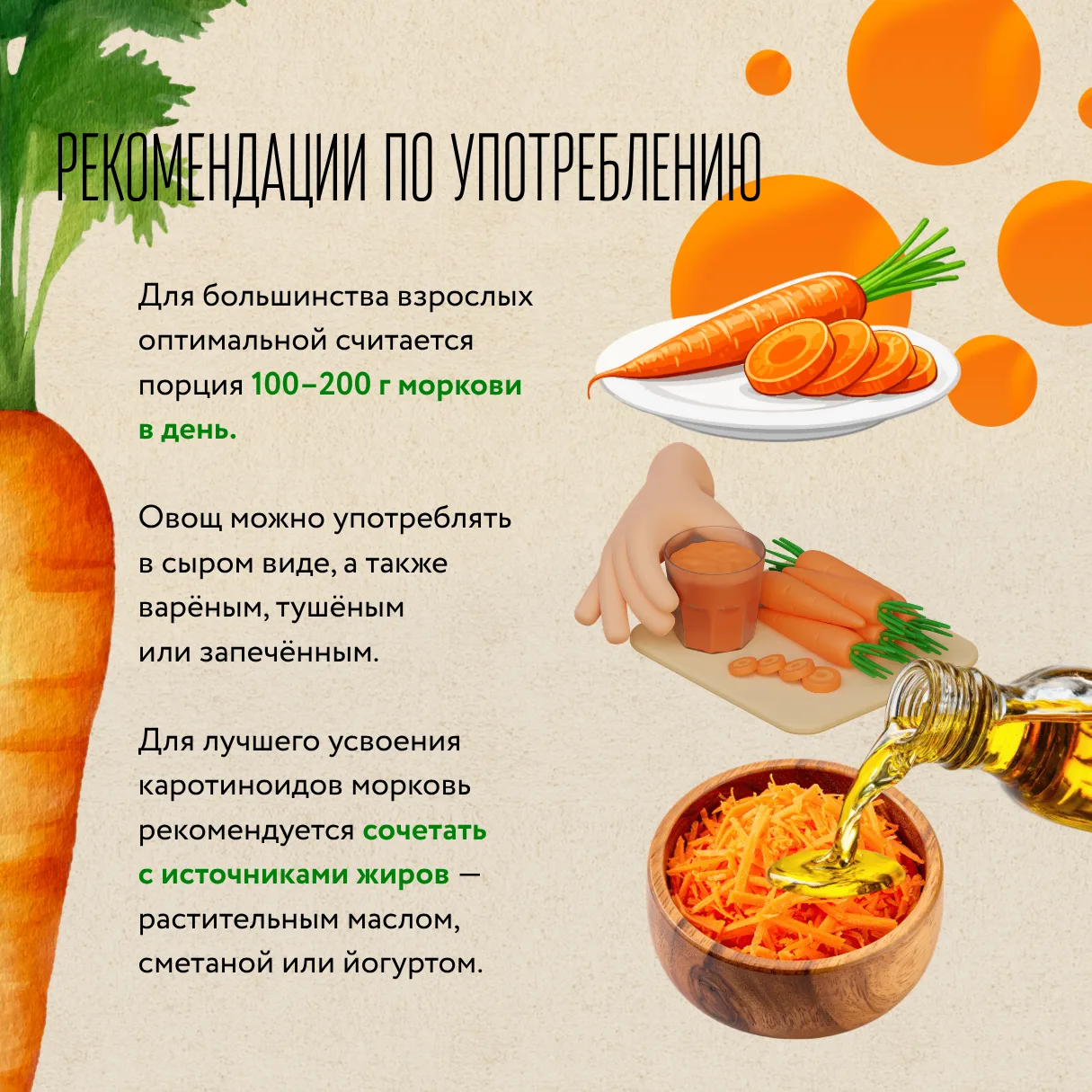 День моркови: праздник оранжевого корнеплода и его польза для доноров  🥕 Морковь — не только вкусный