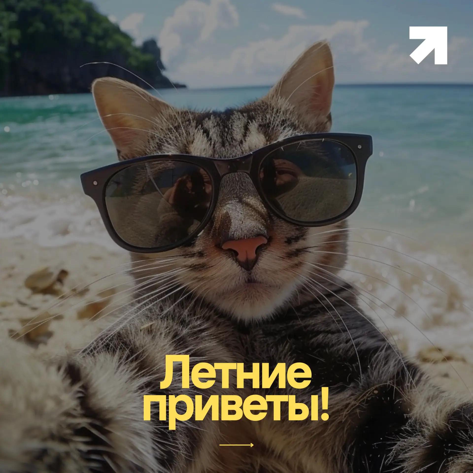 🚀Лето в разгаре — пора делиться эмоциями!

Привет, путешественник!  Ты уже успел искупаться в море,