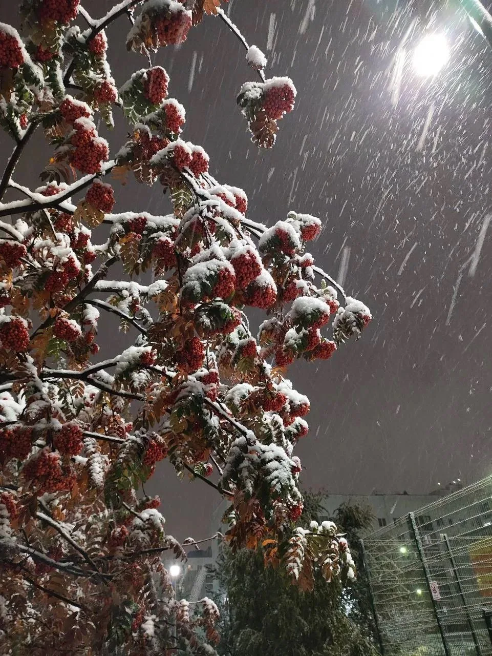 ❄️В Свердловской области высота снежного покрова в некоторых местах достигла 27 см