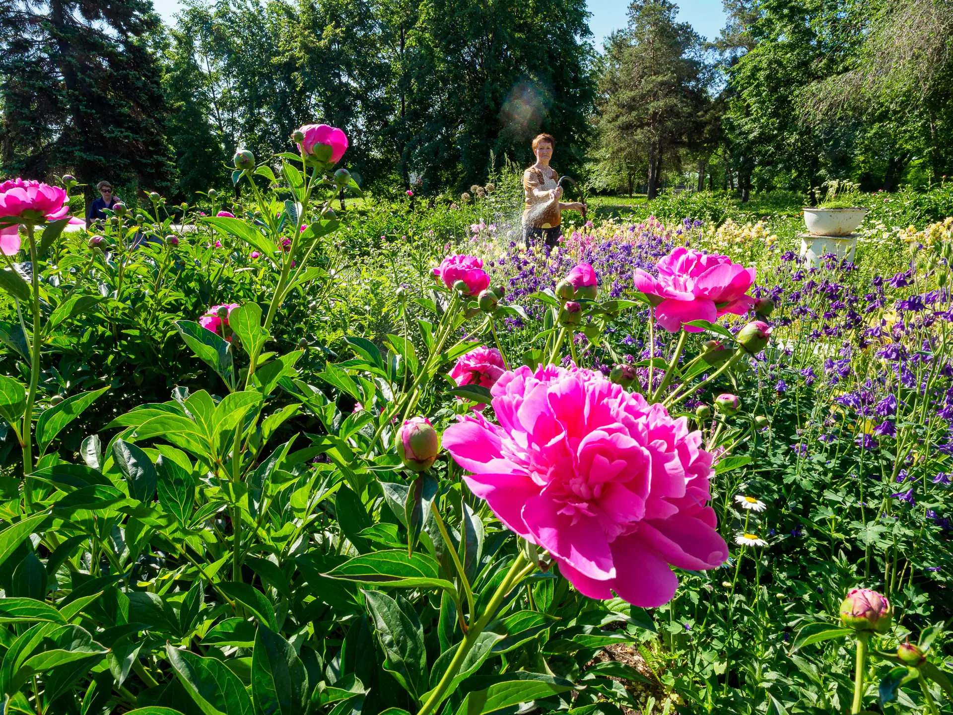 🌼 Цветник у заводоуправления ЧЭМК: красота своими руками

🌿 Перед зданием заводоуправления ЧЭМК уж