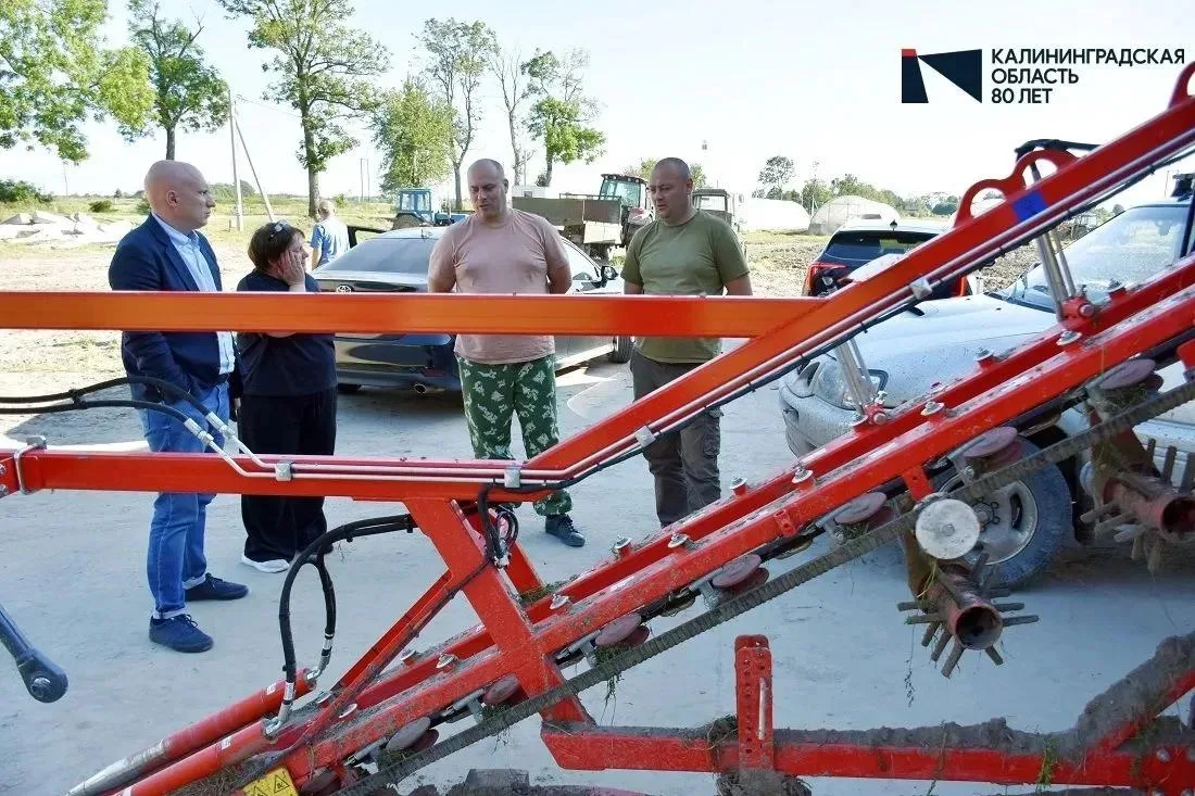 👨‍🌾👍 Наши начинающие аграрии достойно справляются с трудностями по сбору урожая в эт...