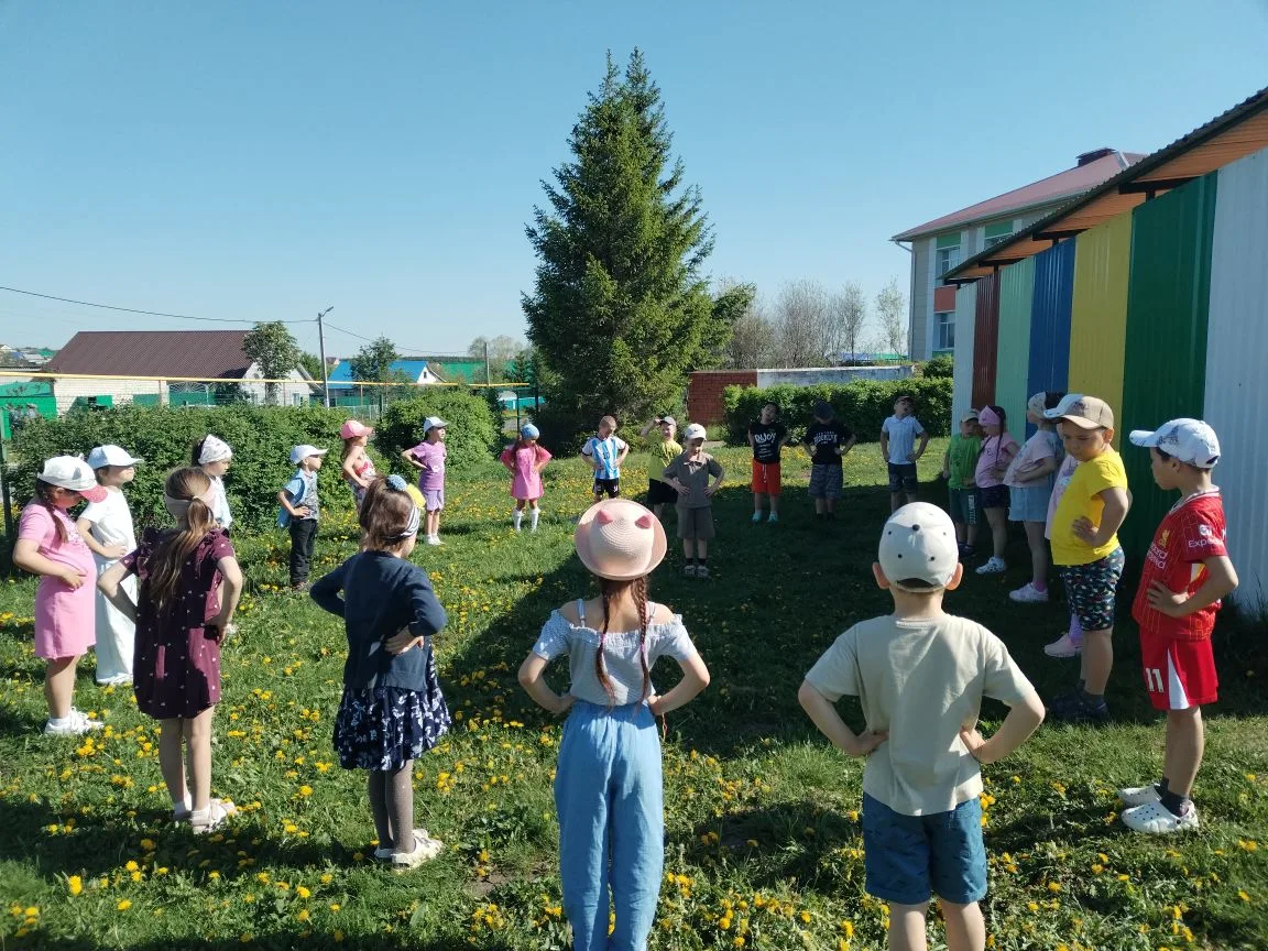 🌞 Лето пришло — пора заряжаться энергией!