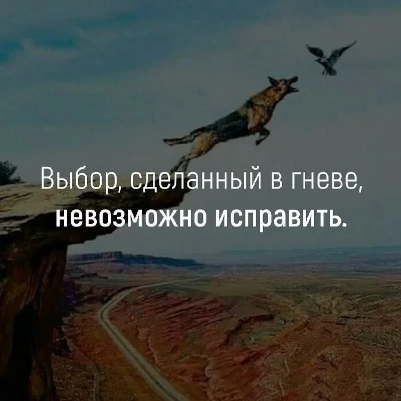 Почему нельзя доказывать свою правоту в состоянии гнева?

В момент сильной эмоции наш аналитический 