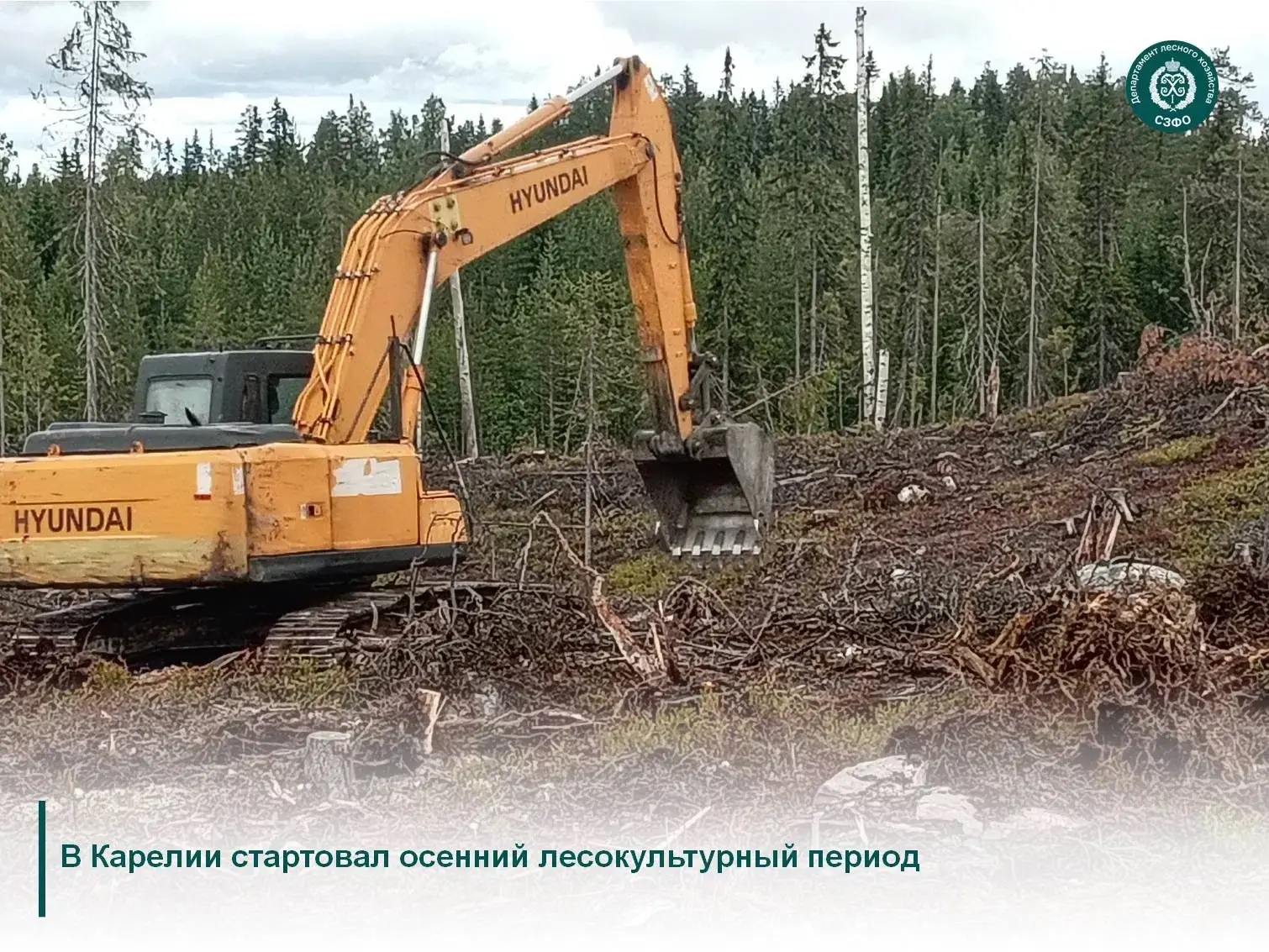 🌱Работы по лесовосстановлению в республике проходят в соответствии с целями президентс...