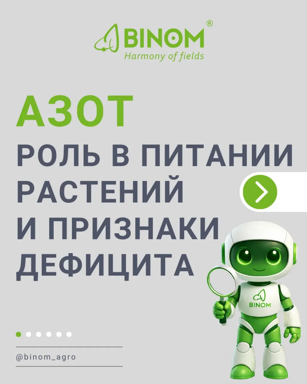 АЗОТ ВСЕМУ ГОЛОВА