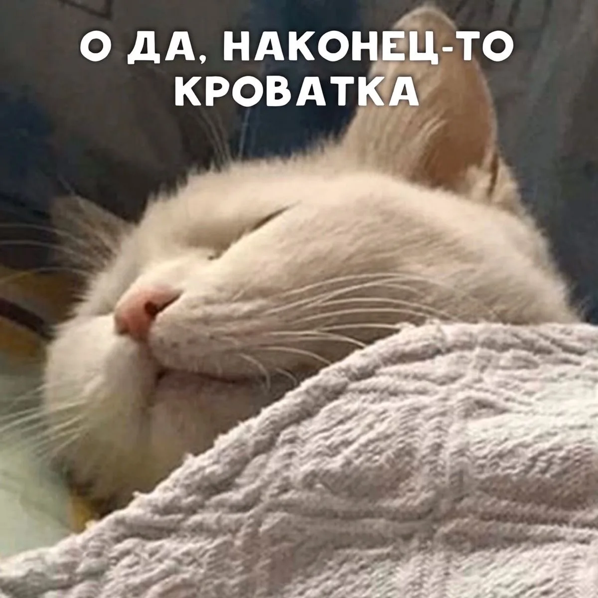 Сегодня сил хватает, только на то, чтобы выложить вечерний отчет
