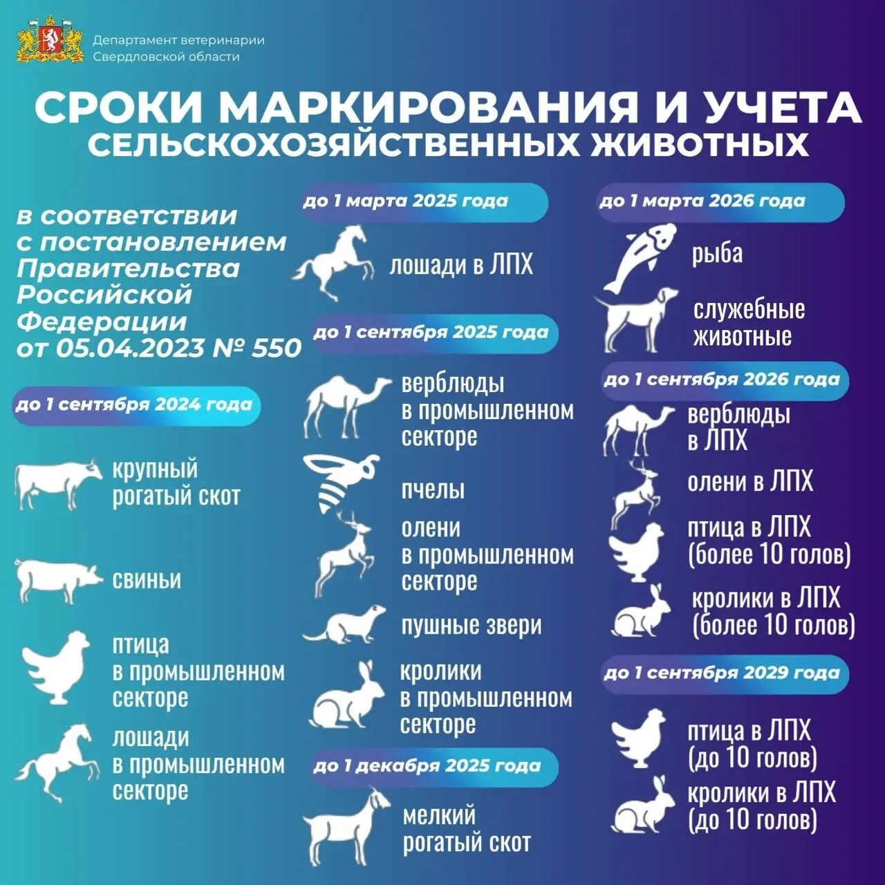 Департамент ветеринарии напоминает