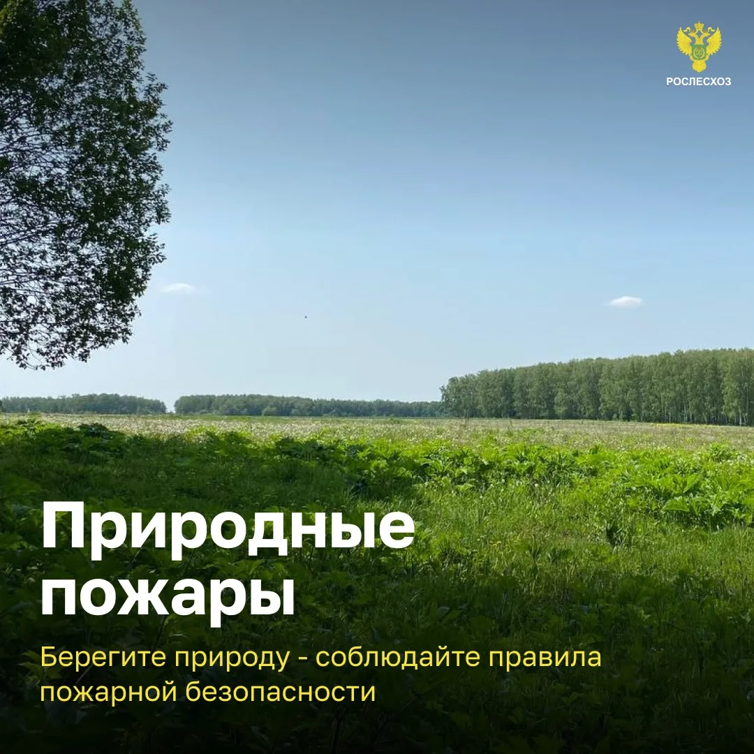 Памятки «Останови огонь» Природные пожары