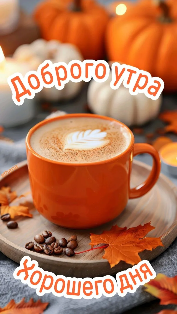 🖼 Доброе утро💖💖💖 Всем отличного дня🍁🎊🌼 и прекрасного настроения 💕💕💕