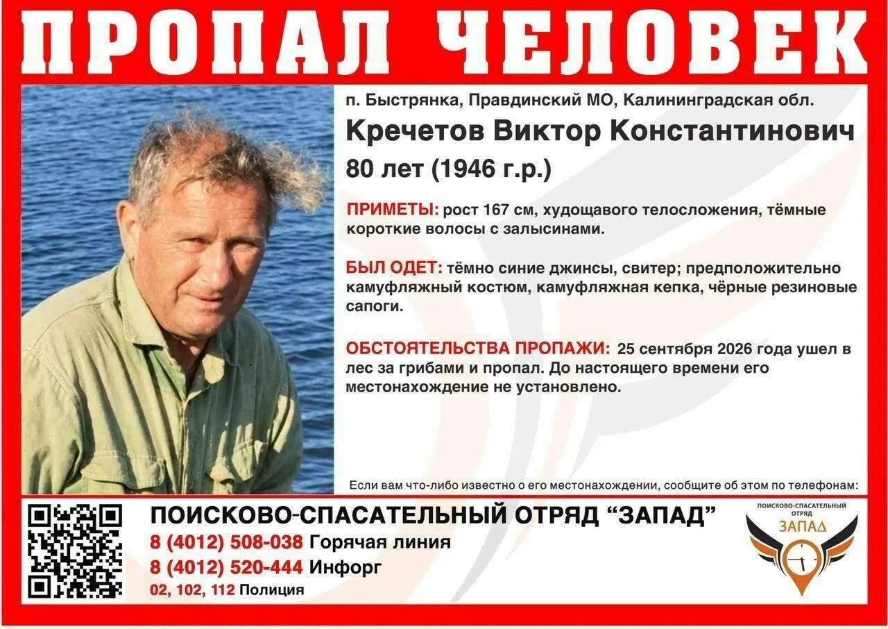 В лесу под Правдинском уже почти две недели ищут 80-летнего грибника.