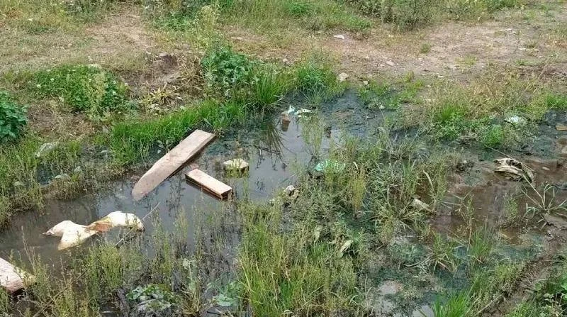 Признаки сброса сточных вод выявили у отеля в Котельниках в мкр. Силикат