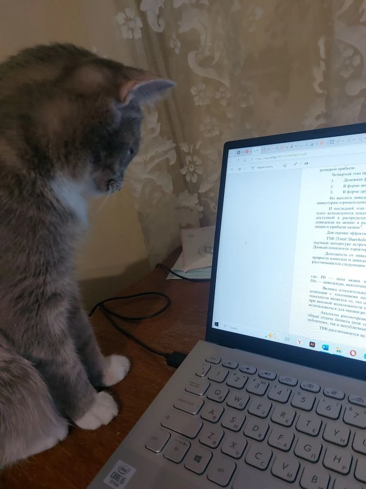 🐱"В офисе японской IT-компания Qnote работает 10 кошек, каждая из которых получила «до...