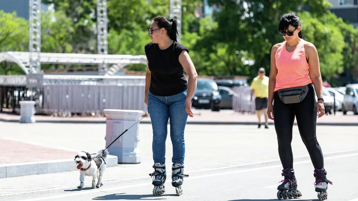 Сегодня днем в Хабаровске температура воздуха составит 21.. 23 °C. Ветер северо-восточн...